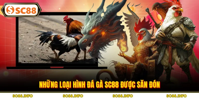 Những loại hình đá gà SC88 được săn đón